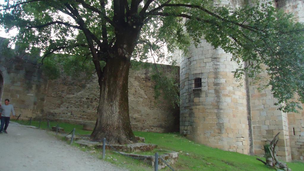 Casas Rurales El Caminante Aldeanueva del Camino Ngoại thất bức ảnh